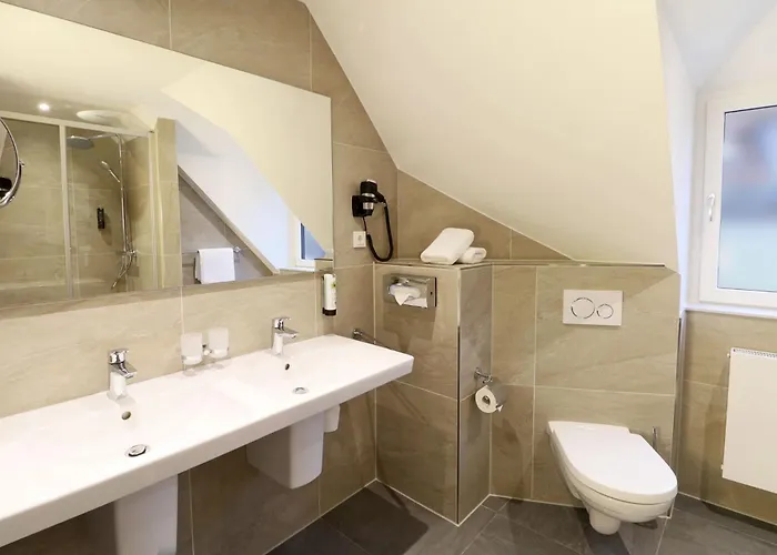 酒店 金色玫瑰酒店 海德堡