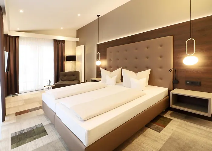 金色玫瑰酒店 3* 海德堡