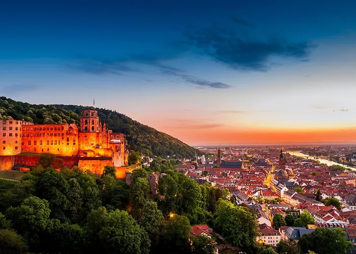 酒店 金色玫瑰酒店