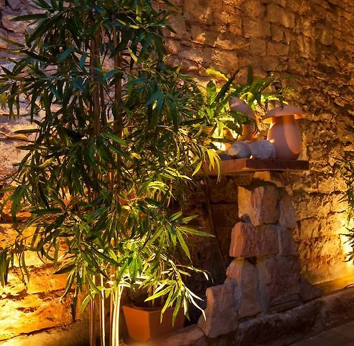 酒店 金色玫瑰酒店