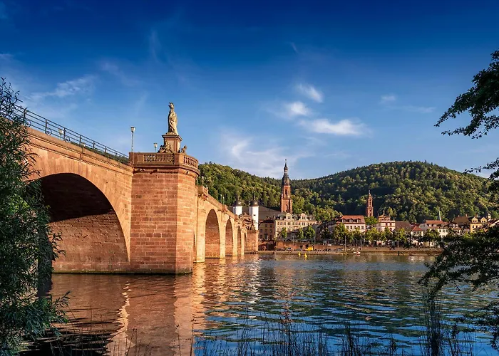 酒店 金色玫瑰酒店 3*